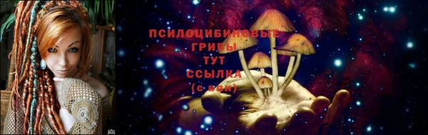 героин Алзамай