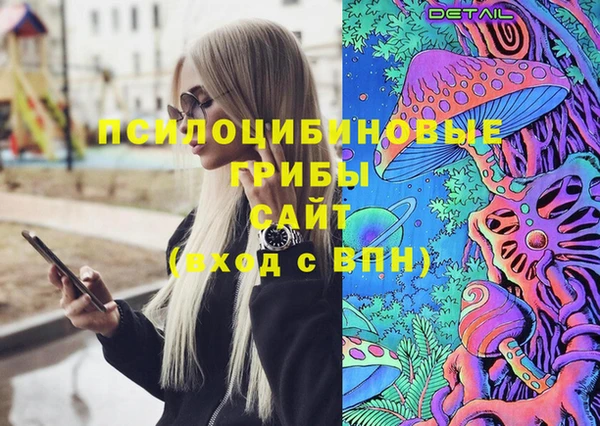 хмурый Алексеевка