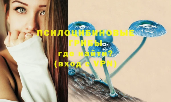 хмурый Алексеевка