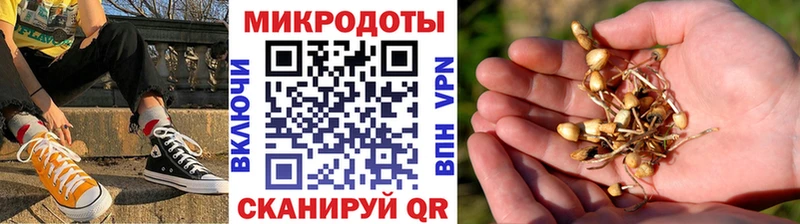 Галлюциногенные грибы ЛСД  дарнет шоп  Омутнинск 